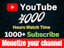 do add 1000 youtube followers, views watch time for monetization