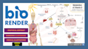present educational, scientific and medical illustrations
