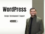 build or customize wordpress website