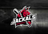 design fantastic powerful baseball team logo