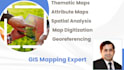 do gis mapping and spatial analysis