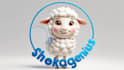 design sheep mascot logo with express delivery