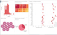 create interactive dashboard and visualizations in tableau
