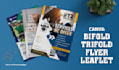design canva flyer, bifold, trifold brochure, marketing flyer