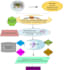 do scientific writing, modeling and editing