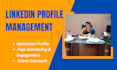 do professional linkedin profile optimization and SEO