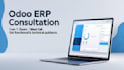 guide you with odoo implementation and customization