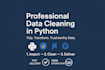 do data cleaning using python