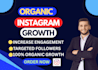 do super fast instagram organic growth