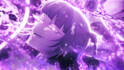 make you an amazing anime edit