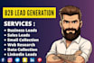 pro b2b lead generation high targeted lead generation, linkedin lead generation