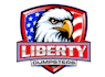 design modern eagle logo