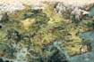 hand draw a fantasy map for your book