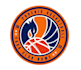 make a proffesional volleyball logo