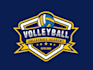 design a unique volleyball logo with original concept