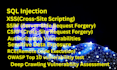 do manual penetration testing