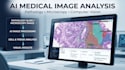 build medical imaging tools for digital pathology and microscopic analysis