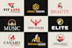 design a professional logo, brand identity, and brand kit