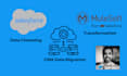 transform normalize and migrate your salesforce data