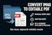 convert image to clean editable PDF professionally
