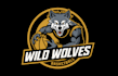 design fun boys basketball team logo