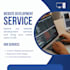 develop a professional web application