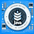 develop restful apis using pure java