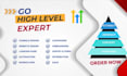 be your go high level expert