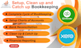 do setup, clean up, catch up bookkeeping in qbo and xero