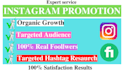 do instagram organic promotion