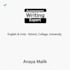 write beautiful and clean hand written assignment in english