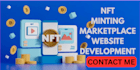 build nft website nft minting website nft markeplace website nft development