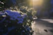 colour grade and edit photos