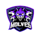 design outstanding wolf logo with express delivery