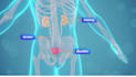do 2d 3d medical, surgical, and healthcare animations with device and animation