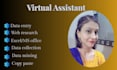 be your virtual assistant for data entry, copy paste, typing and web research
