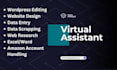 do data entry, web scraping, wordpress, and amazon tasks