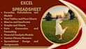 do your excel spreadsheet project