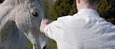 do professional videography in manchester and england