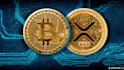 p2p website, dex, ohm fork, defi staking, memecoin platform, stablecoin,nft mint