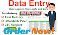 do excel data entry, copy paste, web research, data conversion work