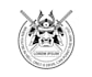 design proffesional samurai logo