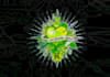 design corporate planet love brewery logo