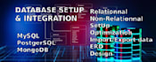 set up and integrate your database professionally