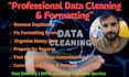 clean and format excel or CSV data and create pivot table reports