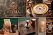 design premium logo, brand style guide, brand book and full branding kit