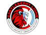 design professional lion logo