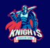 make an amazing knight logo design in one day