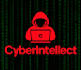 investigate anyone using osint, research, background checks