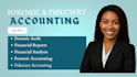 perform forensic and fiduciary accounting, financial audits, investigate frauds